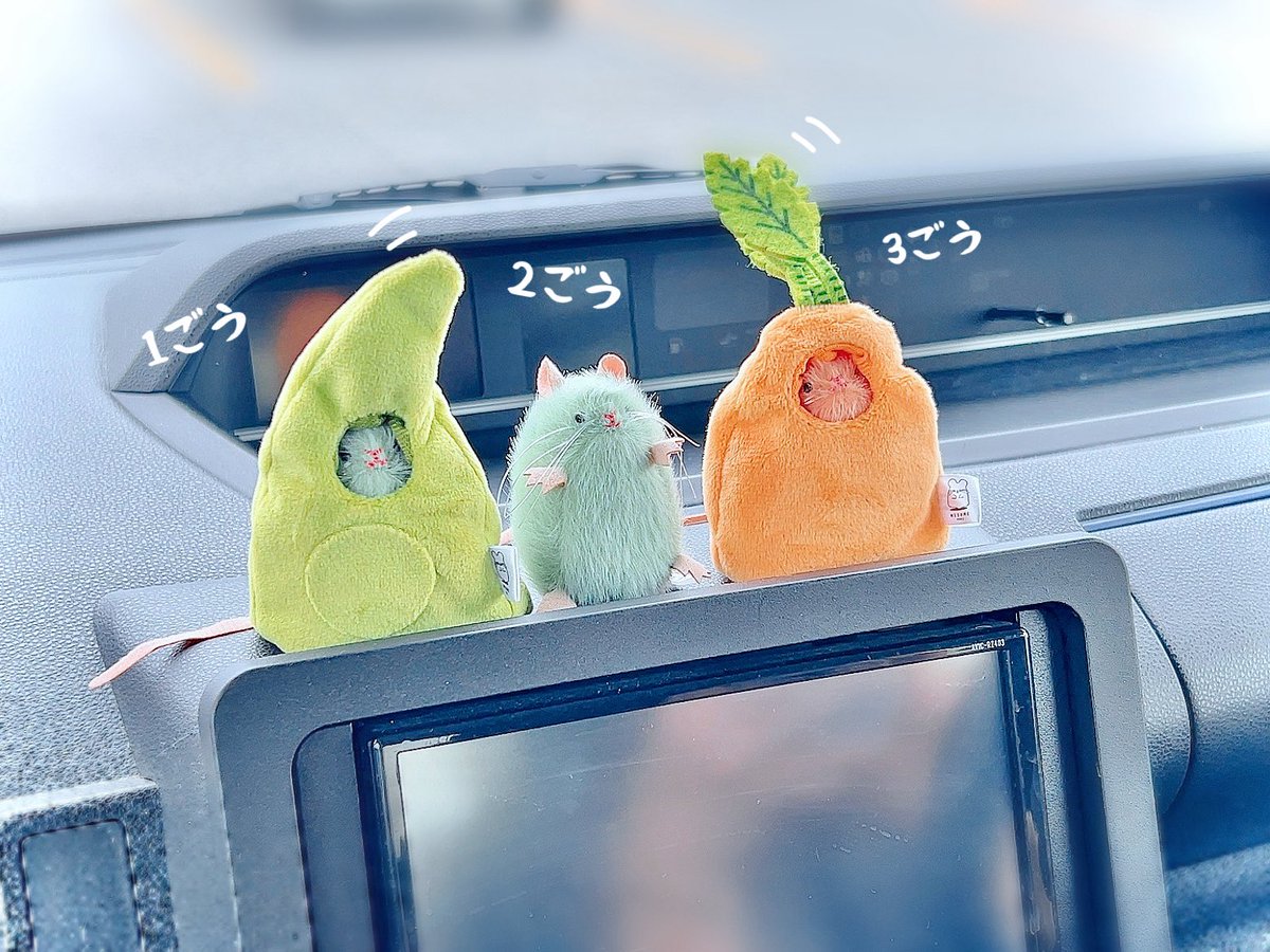 ドライブ帰りに
ねずみさんたちがゾロゾロと…🥕🫛

#ねずみのぬいぐるみ