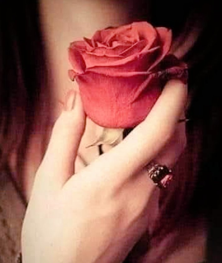 ❤️Asslamualykum ❤️
Good morning 
*कांटों में गुजार देता है,,
🌹गुलाब अपनी जिंदगी,,

कौन  कहता है
🌹फूलों की जिंदगी में ग़म नहीं होते...