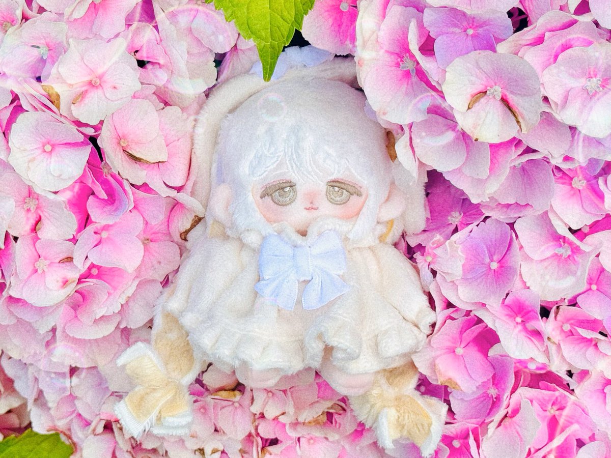 ૮₍ ⸝⸝˃̵ ·̫ ˂̵⸝⸝₎ა・͛・͛
#오늘도_몽글몽글