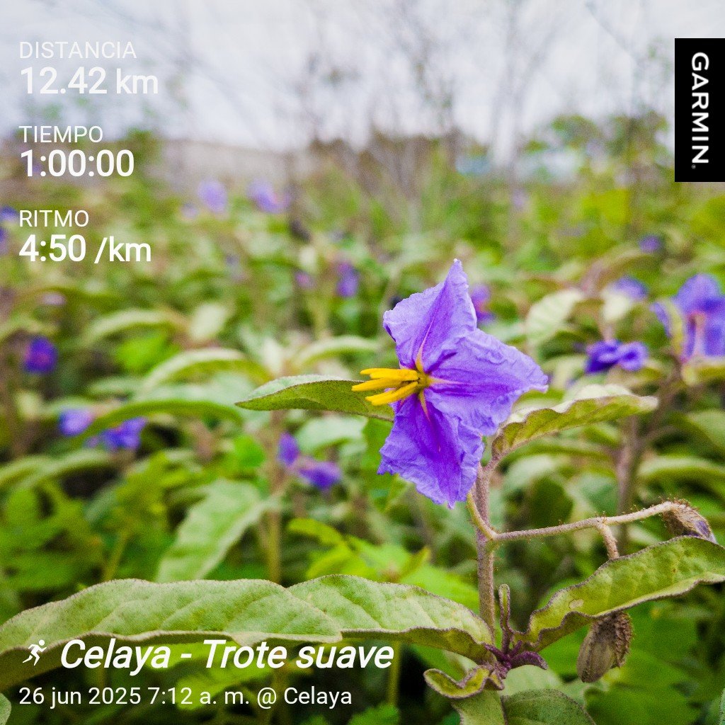 Hoy fue una carrerita suave para ir concluyendo la semana 

#RunningMotivation <a href="/KMSxELA/">KMSxELA</a>