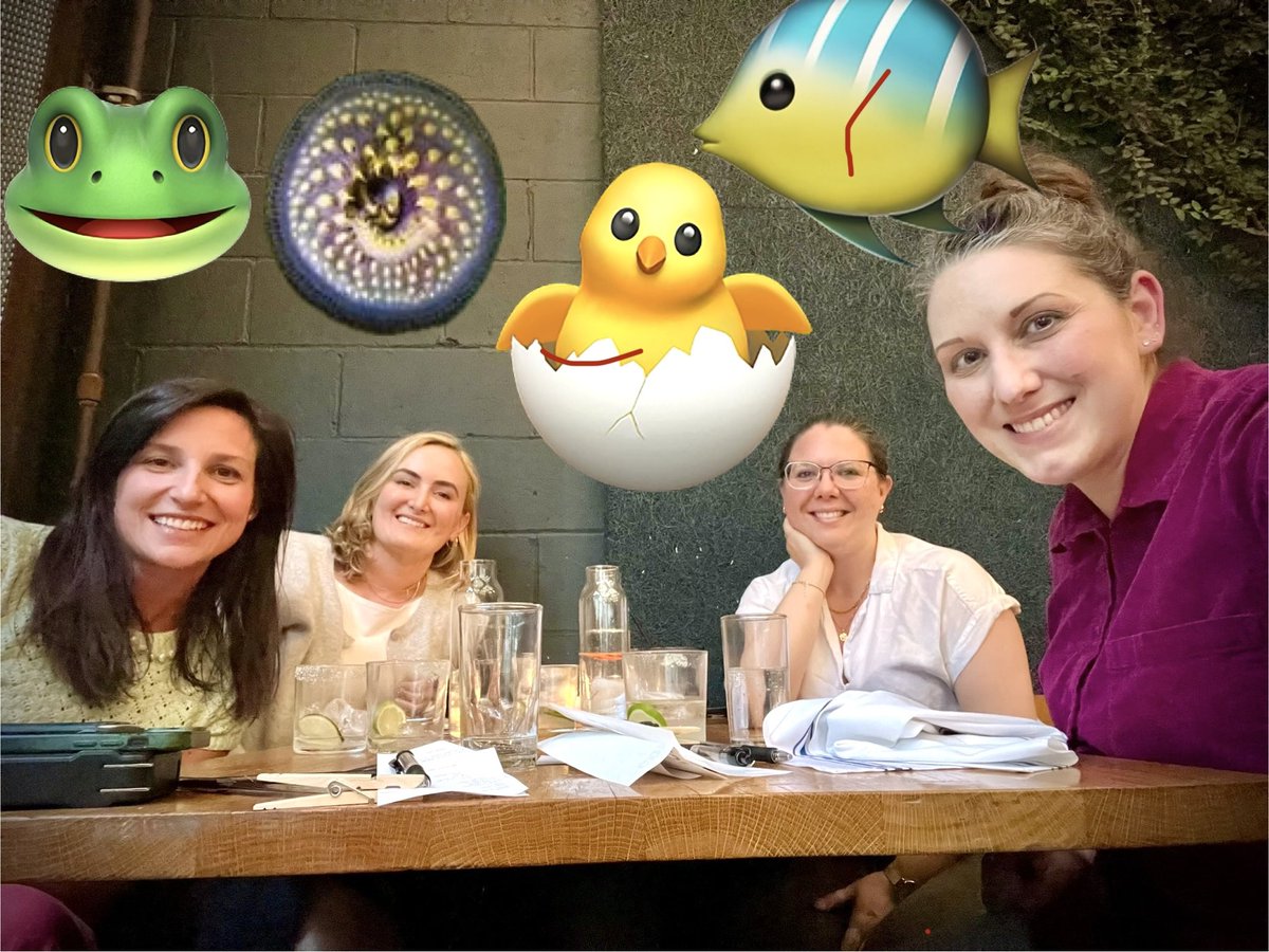 Helen Willsey (@goodfrognosis) on Twitter photo Just a casual meeting of 4 of developmental biologyโs finest ๐๐ปโโ๏ธ <a href="/MeganMartikPhD/">Megan Martik</a> @vale_tornini @drericabiophd Just a casual meeting of 4 of developmental biologyโs finest ๐๐ปโโ๏ธ <a href="/MeganMartikPhD/">Megan Martik</a> @vale_tornini @drericabiophd