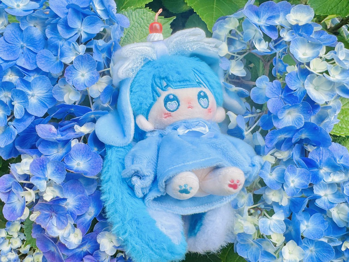 🐾🩵
#윤슬포리 #오늘도_몽글몽글