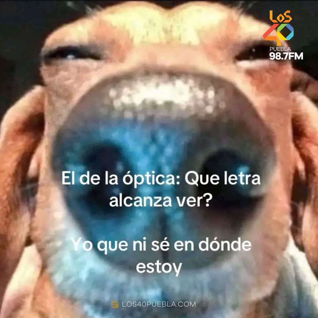 🥺🥺🥺
.
.
.
#Los40Puebla987FM #TodaLaActitud #humor #perrosfelices #viralpost