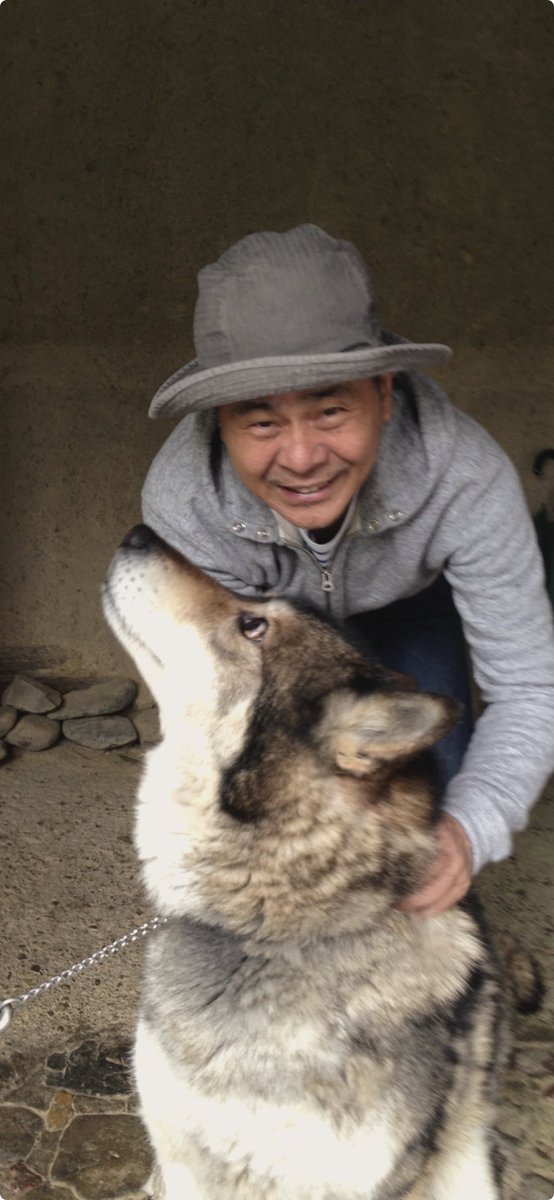 itoi_shigesato's tweet image. 狼犬かっこよかったなー、かわいかったなー。どうしてるだろう。