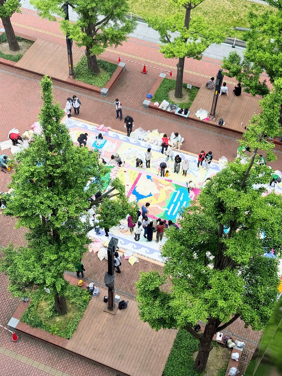 terracekeikaku's tweet photo. 今週末は
SAPP‿ROフラワーカーペット2025

札幌都心部5会場で
市民ボランティア500名が
フラワーカーペットを制作💐
@Sapporo_FC 

テラス計画の眺望スペースが札幌市北３条広場（アカプラ）のビュースポットになるほか、
赤れんが テラス 1階ではハッシュタグ投稿キャンペーンも開催されています！ https://t.co/xKAZhsRh7x