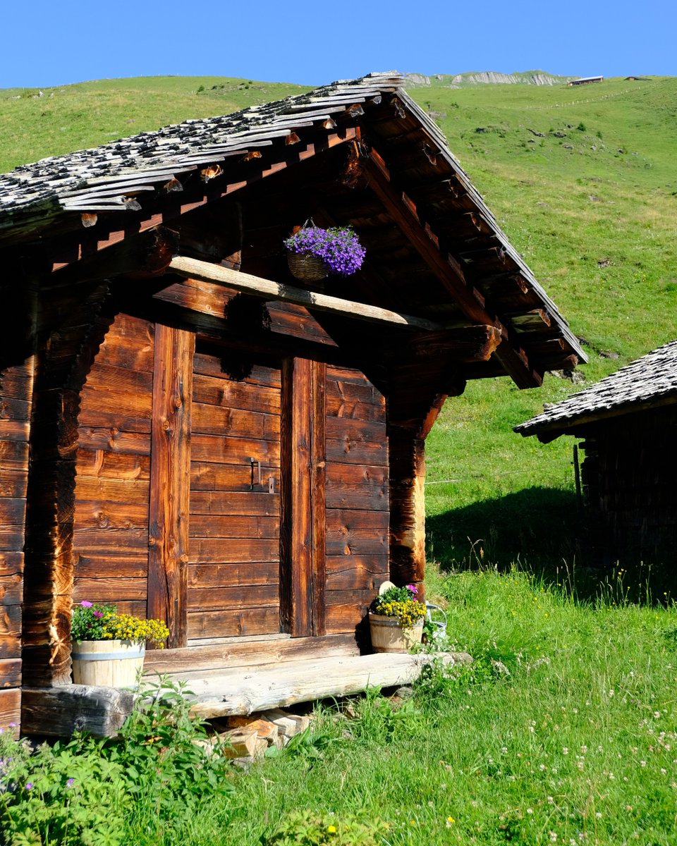 Bussalp - Rasthysi - Bort ☀️bit.ly/BussalpBort24

2 hours | 7,4 km | Moderate 🥾

🚌 Start with the bus 126 to Bussalp
🍹 Enjoy a sunny lunch at the Rasthysi 
🌻 Marvel at flowery fields
🚡 Gondola from Bort back to the town ( last one at 6.14 pm)

Ever hiked this route? 🍃