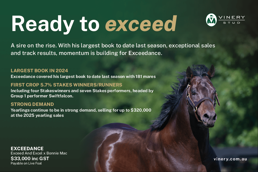 ✅ | EXCEEDANCE

Ready to exceed 🥇
A sire on the rise. With his largest book to date last season, exceptional sales and track results, momentum is building for Exceedance 🤩

<a href="/VineryStud/">Vinery</a>