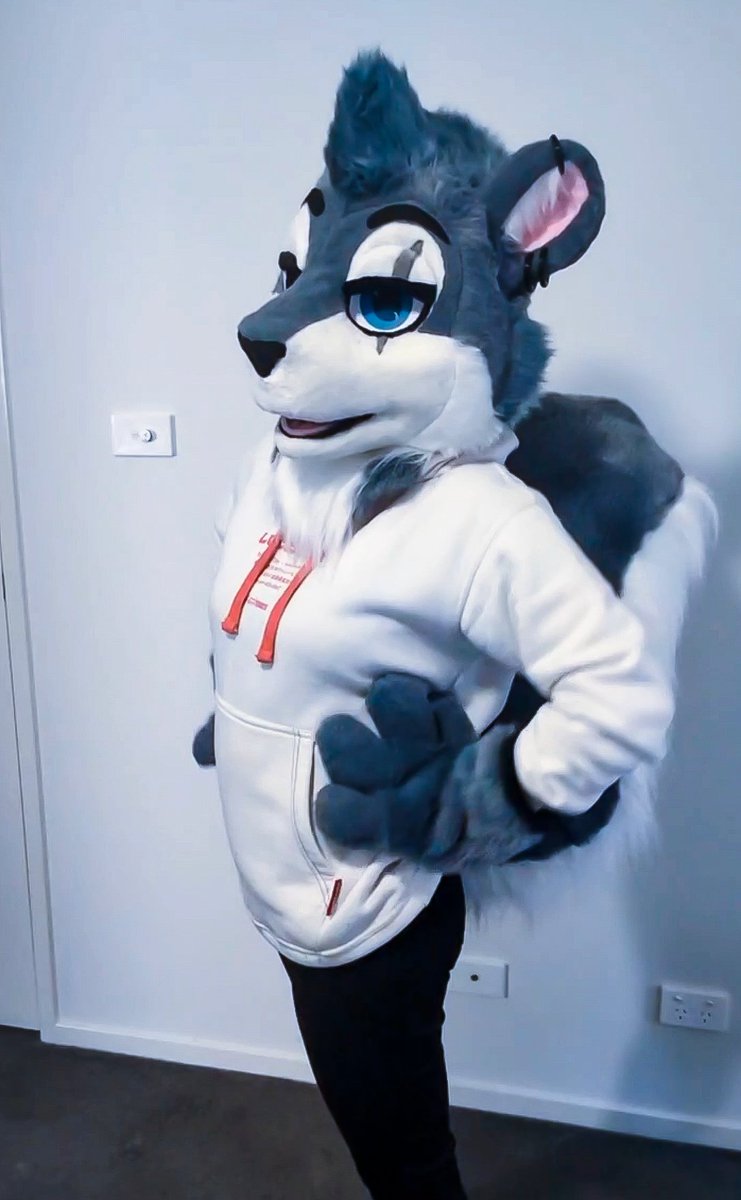Toor the squirrel 🐿️ 
This suit was so much fun to make and also a challenge as it was my first ever squirrel! 
This mini partial features 
-fully lined head and hands.
- BIG fluffy tail 
- 3 eyelids (one without the scar) 
-3d printed eyes,teeth and jewellery.
-dye sub eyes
 🩵