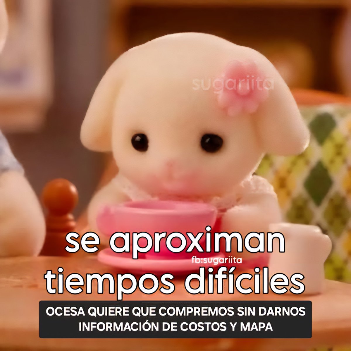 SIN PRECIOS NO COMPRAMOS  #OcesaAnunciaPreciosSS10
<a href="/ocesa_kpop/">OCESA K-pop</a> <a href="/ocesa_total/">Ocesa Total</a>

ELF del turno nocturno den RT hasta más no poder, las tqm 💙