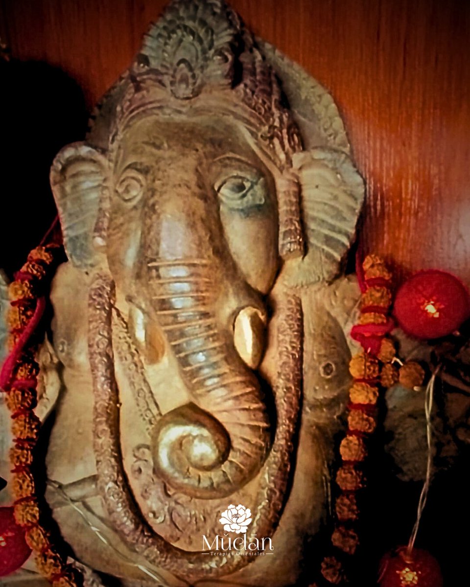 BurgosMudan's tweet photo. ✨ Otro de nuestros rincones mágicos…
Ganesha, símbolo de sabiduría y nuevos comienzos, te da la bienvenida a nuestro espacio.
📍https://t.co/CGNdEOne2T
#MudánMasajes #MasajeOriental #RincónMágico #Ganesha #Bienestar #RelaxBurgos #EquilibrioInterior #MasajesConAlma https://t.co/VNt6CBzYyL
