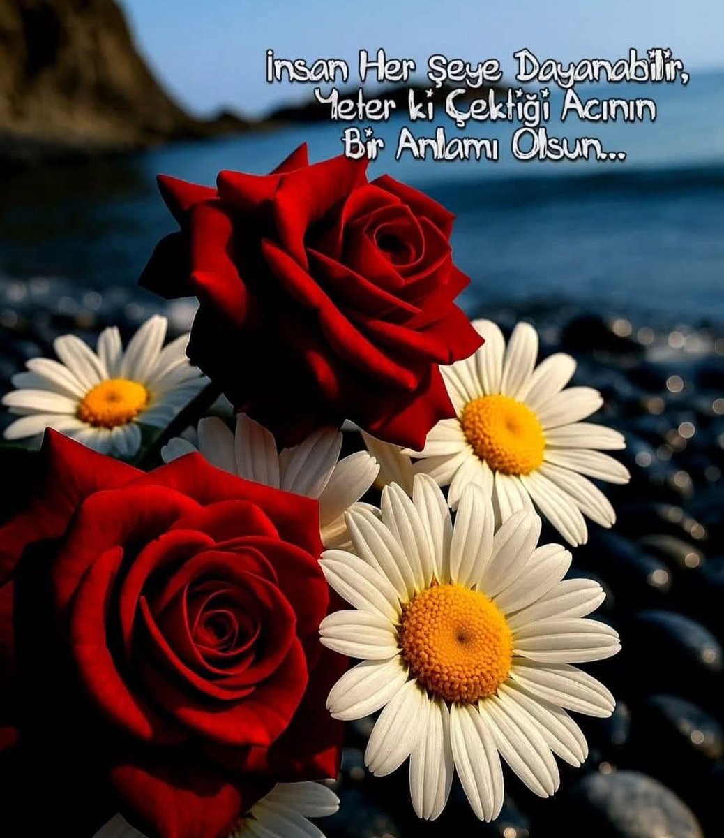Günaydınlar keyifli 💞sabahlar olsun 💕insan her şeye dayanabilir yeterki çektiği acının bir💕 anlamı olsun💛❤️