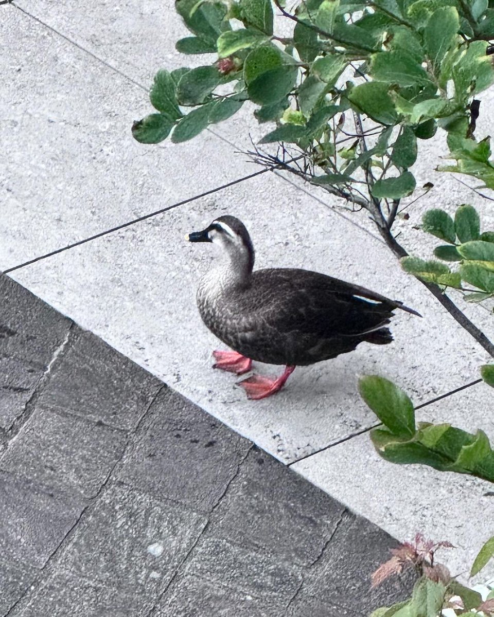 Linoyun's tweet image. (..) spend time as best as possible!