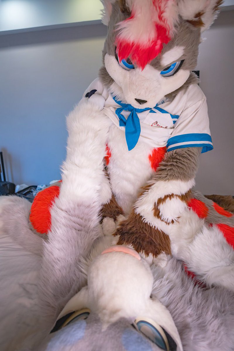 今天是可愛劍齒虎的生日
生日快樂小貓咪🎂
🐾：<a href="/Nurfa_Smilodon/">Nurfa_Smilodon</a> 
📷：<a href="/Gale021/">📸🐳Gale🐳📷</a> 
#FursuitFriday
