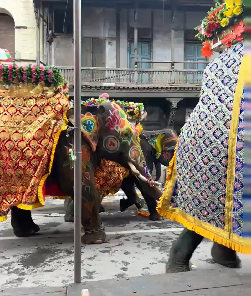 Watch | Elephants go out of control during Ahmedabad Rath Yatra 2025