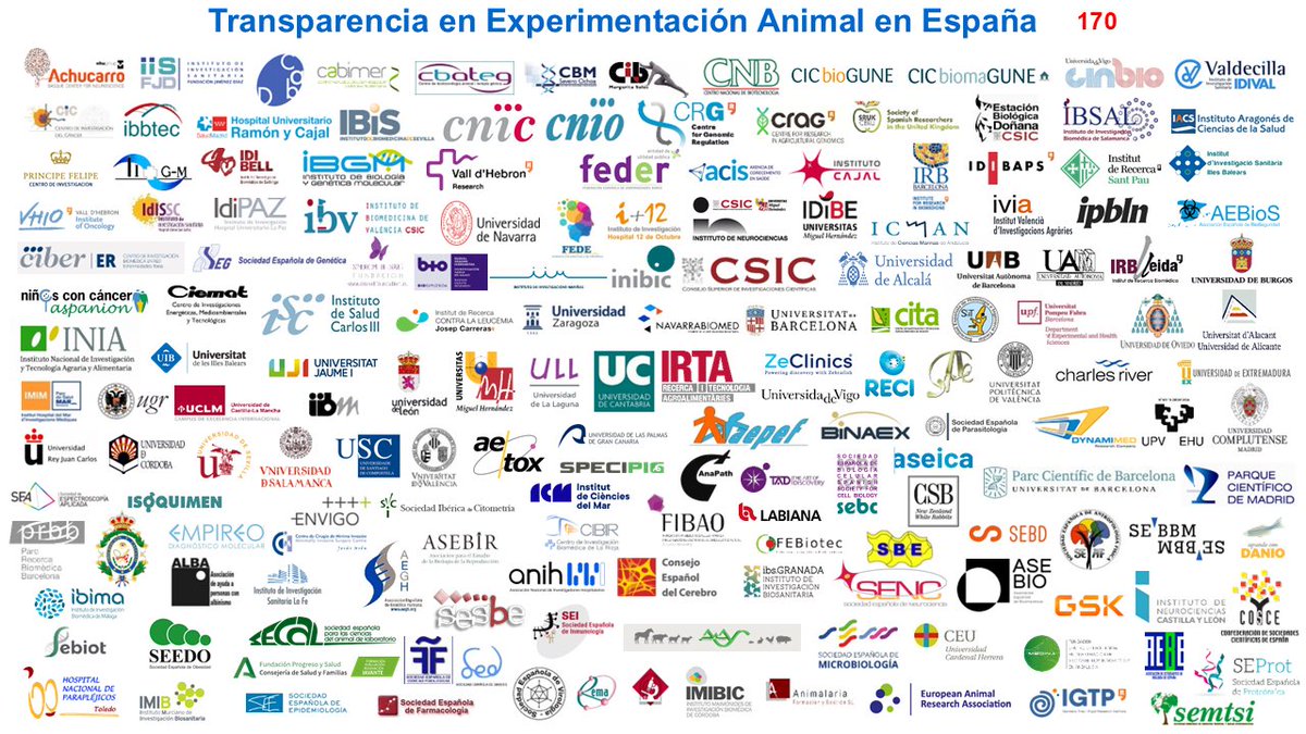Lluis Montoliu (@lluismontoliu) on Twitter photo Hoy hablaré de #transparencia en experimentación animal y del éxito del acuerdo <a href="/COSCEorg/">Confederación de Sociedades Científicas de España</a> (que lanzamos en 2016) en Santander, en el <a href="/IBBTEC/">IBBTEC</a> <a href="/CSIC/">CSIC</a> <a href="/unican/">Universidad de Cantabria</a> 
cosce.org/entidades-adhe… Hoy hablaré de #transparencia en experimentación animal y del éxito del acuerdo <a href="/COSCEorg/">Confederación de Sociedades Científicas de España</a> (que lanzamos en 2016) en Santander, en el <a href="/IBBTEC/">IBBTEC</a> <a href="/CSIC/">CSIC</a> <a href="/unican/">Universidad de Cantabria</a> 
cosce.org/entidades-adhe…