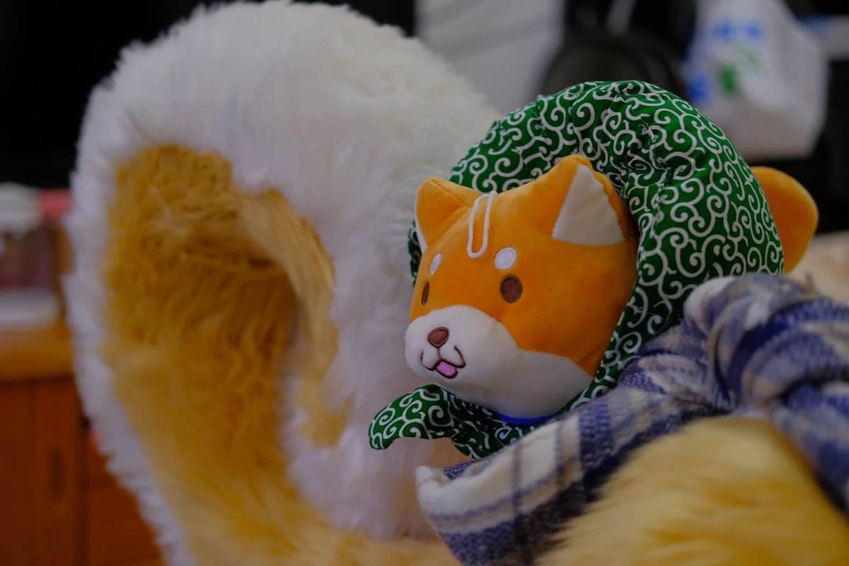 日子也是瞬间变成了酷暑的夏日，夏天对小动物来说可是真的要命啊

#FursuitFriday