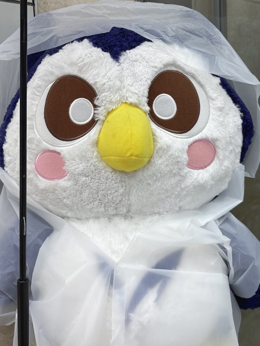 EnNvnjh's tweet image. ☂️とカッパとめいじろう