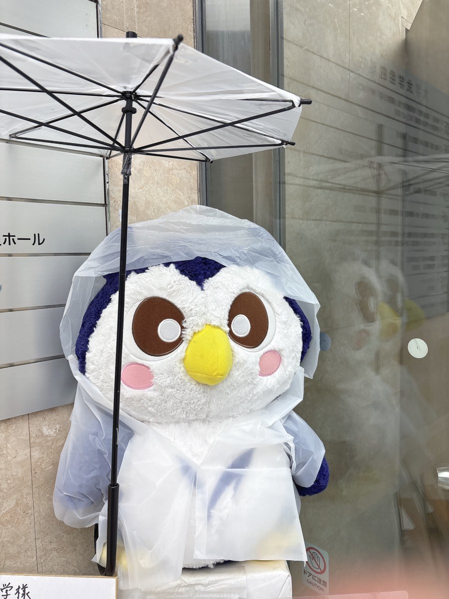 EnNvnjh's tweet image. ☂️とカッパとめいじろう