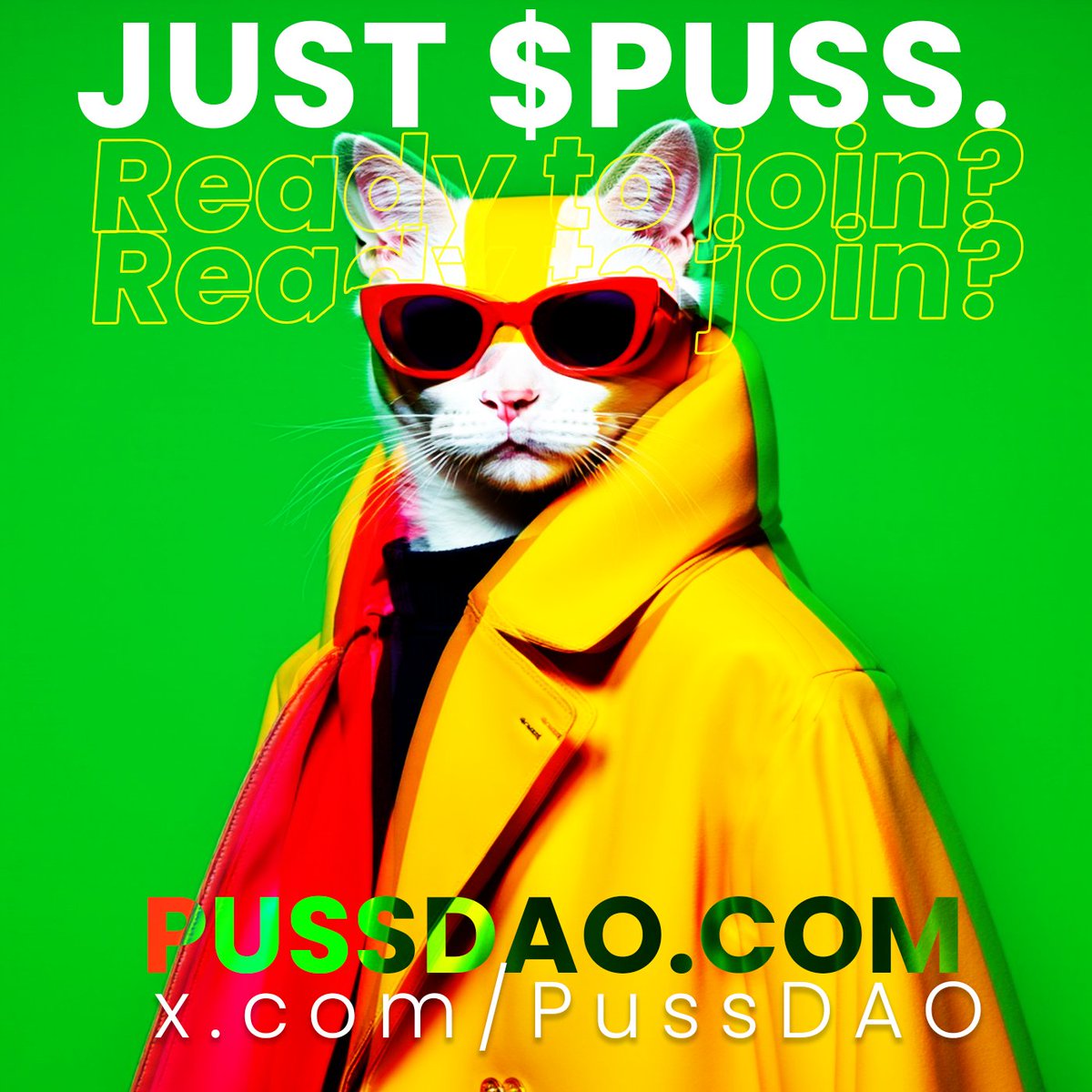 nebulark26's tweet photo. $PUSS isn't just a memecoin! It's a purrfect blend of crypto & cat love! ๐ป They're donating to shelters, empowering communities, and making a real-world impact. Join the #PUSSDAO family! ๐ #CryptoCommunity #Blockchain #Memecoin #PussCat #Altcoins โค๏ธ๐พ https://t.co/lSi2TjpwzX