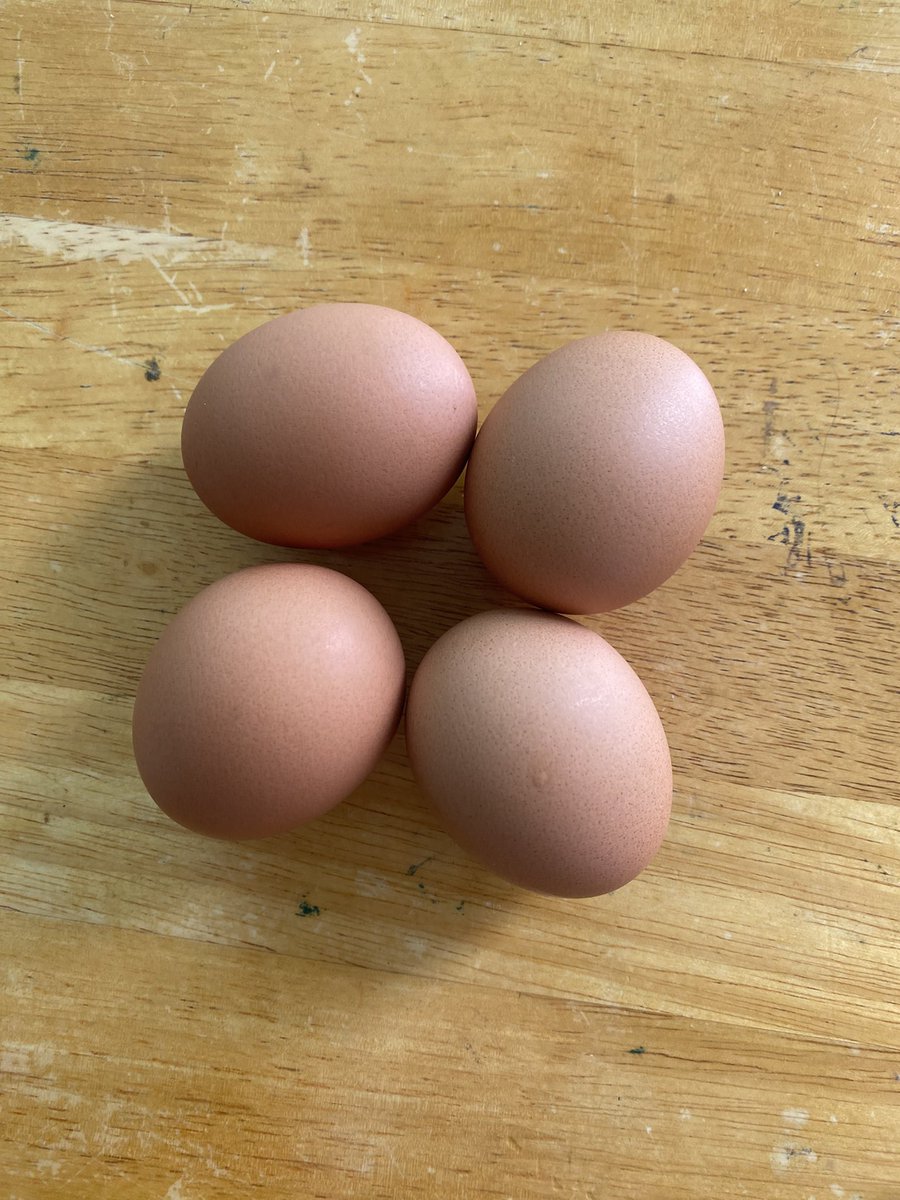 [새민주 워크숍 준비물]

어렸을 적에는 멀리 갈 때 삶은 달걀 애용했습니다.^^

#워크숍