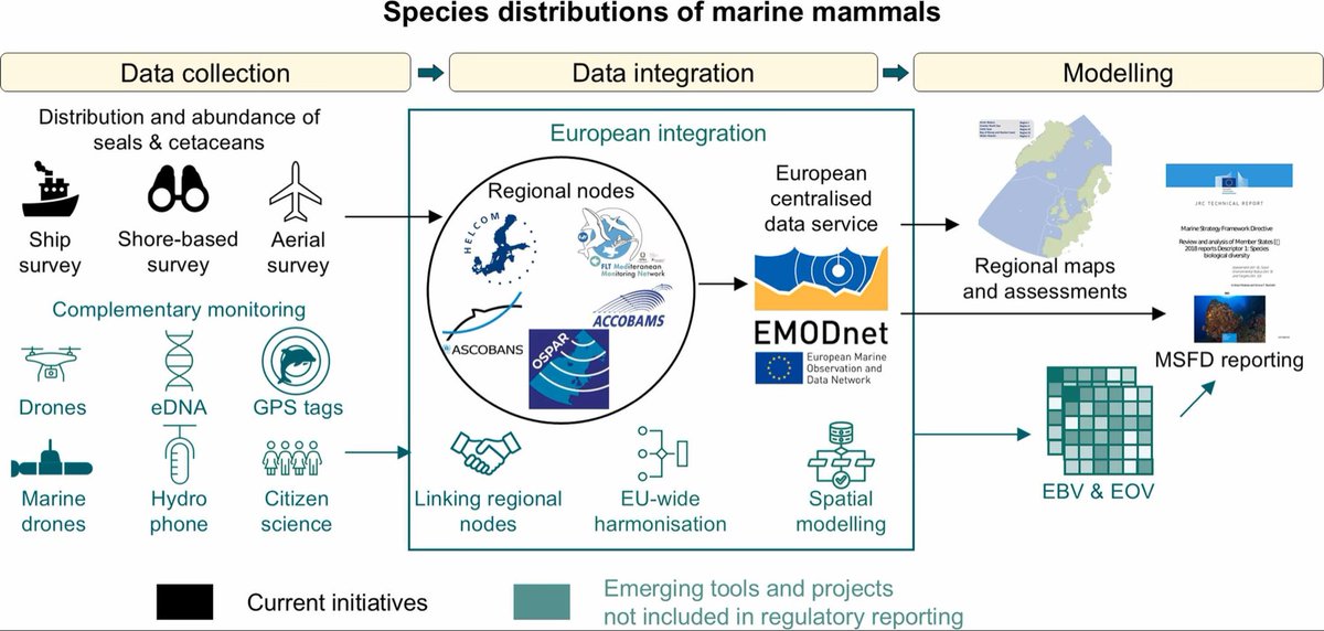 hmlfpereira's tweet photo. We develop a typology of workflows for marine, freshwater and terrestrial #EBVs.  @GEOBON_org @ipbes. Amazing work lead by Maria Lumbierres and Daniel Kissling 3/#. https://t.co/WnuIYB38lD