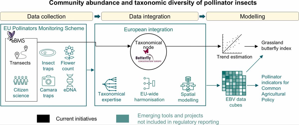 We develop a typology of workflows for marine, freshwater and terrestrial #EBVs.  <a href="/GEOBON_org/">GEO BON</a> @ipbes. Amazing work lead by Maria Lumbierres and Daniel Kissling 3/#.
