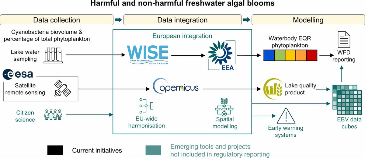 hmlfpereira's tweet photo. We develop a typology of workflows for marine, freshwater and terrestrial #EBVs.  @GEOBON_org @ipbes. Amazing work lead by Maria Lumbierres and Daniel Kissling 3/#. https://t.co/WnuIYB38lD