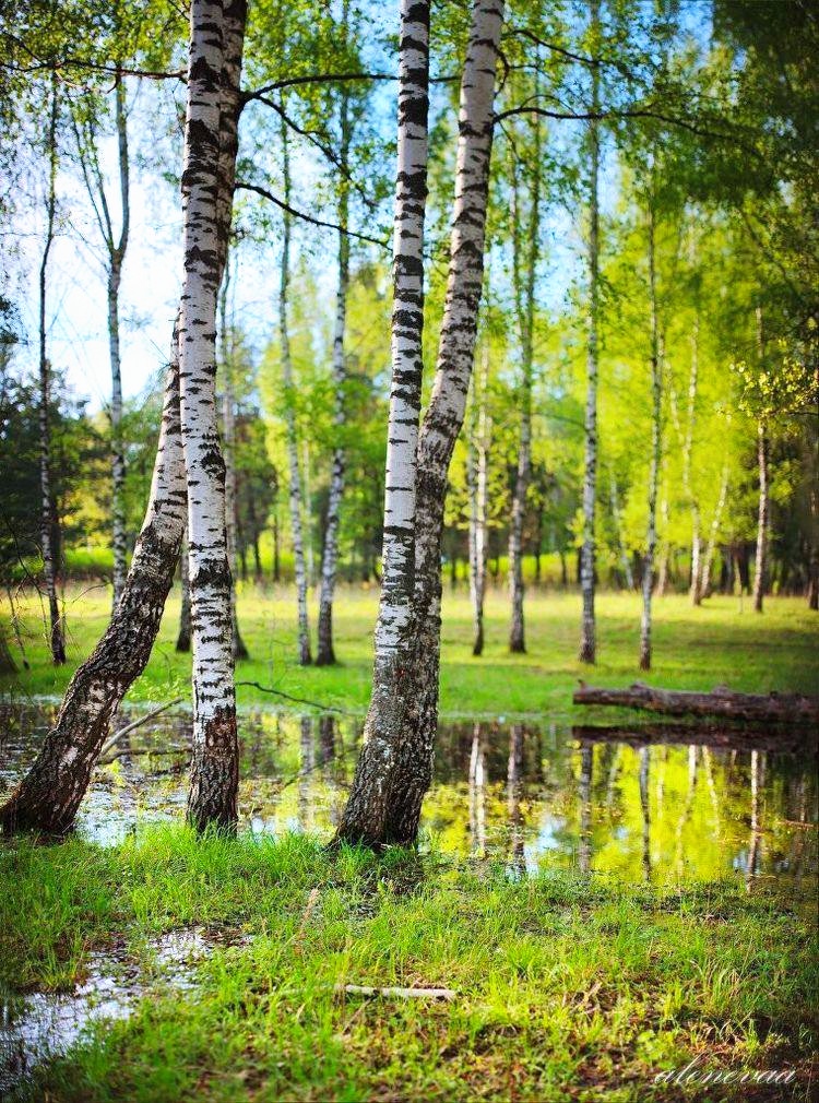 123 (@xetra_a) on Twitter photo 