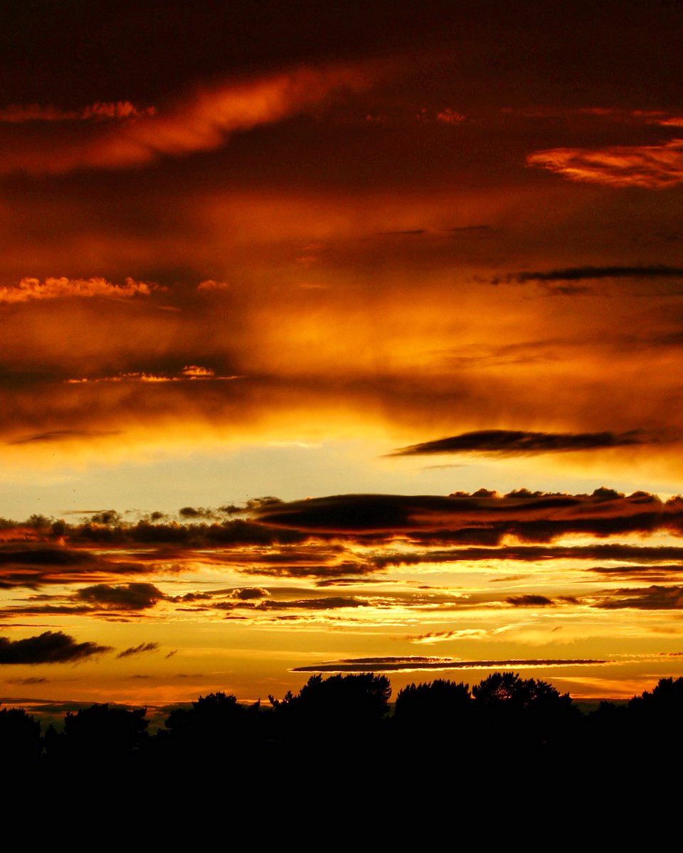 robbeddington's tweet image. Burning sky … 🌅 #sunset #redsky #goldenhour #nature #Afterglow #Idyllic #Evening #cannockchase #photography #clouds #landscape #landscapephotography #staffordshire #cannockchaseforest #travel #sunsetlovers #sunsetlover