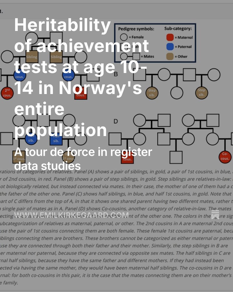 Emil Kirkegaard tweet media