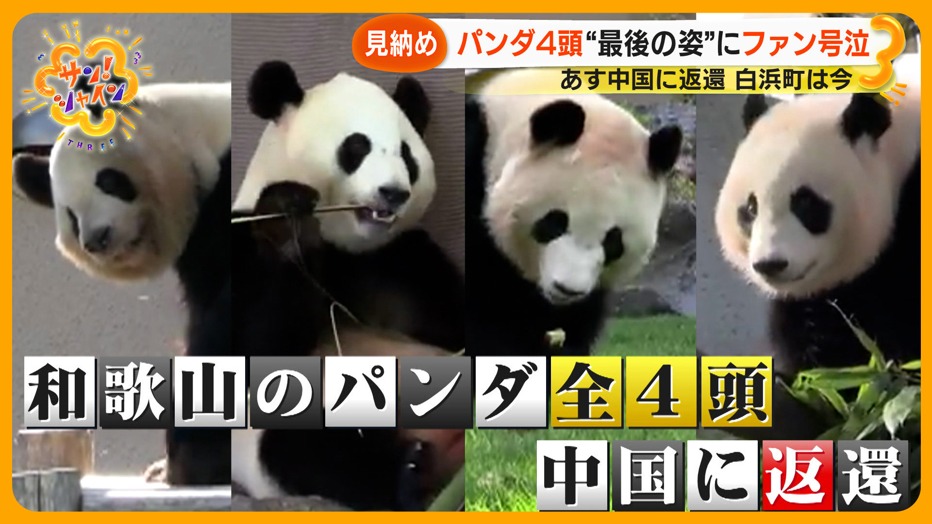 サン！シャイン on X: 