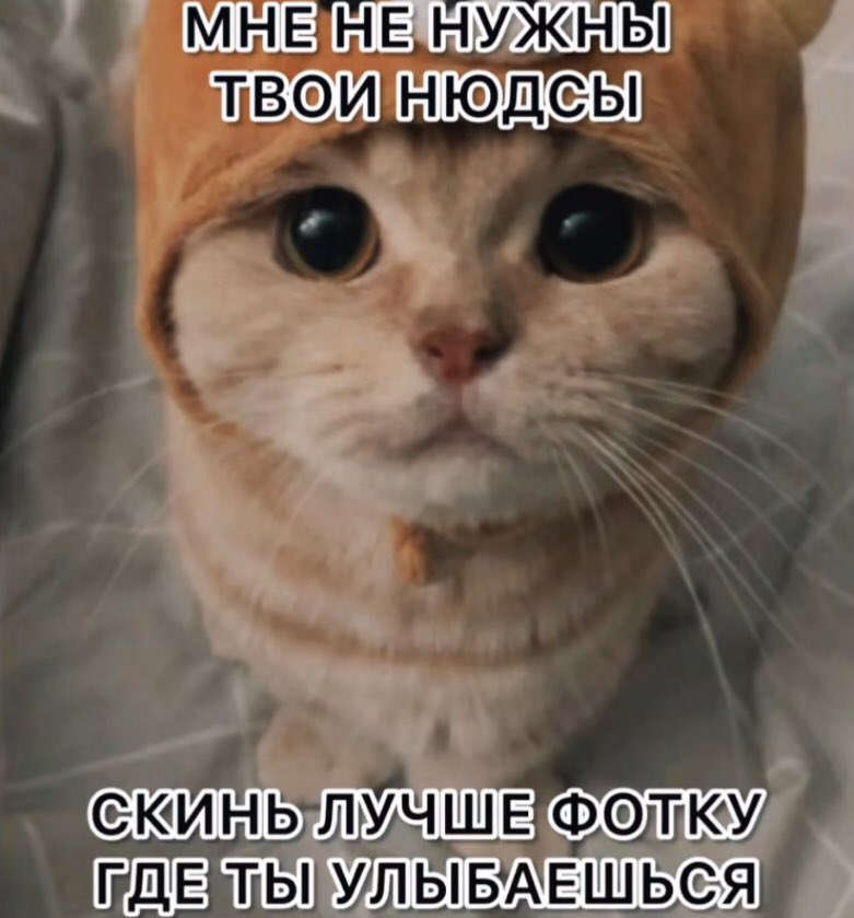 просто никто (@ybluddok) on Twitter photo 