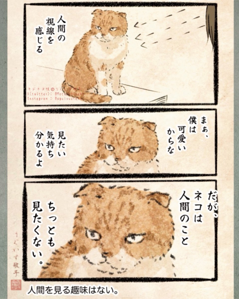 ぷちねこ様の専用ページ ねこ様専用 ねこ様専用ページ 猫様 専用 猫にゃん様専用 にゃんころ