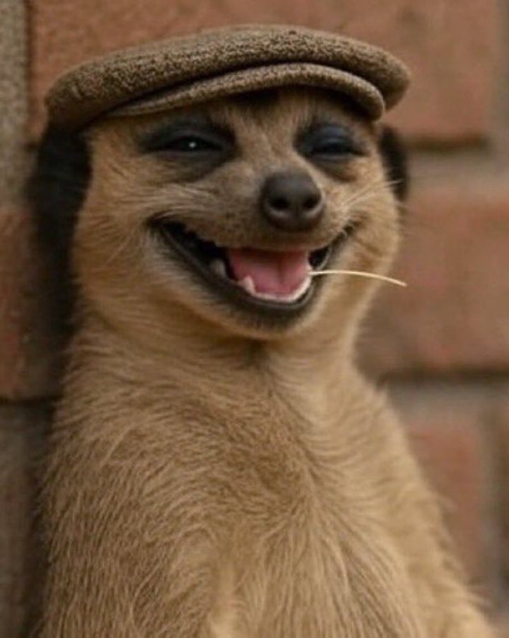 Professional Designer Group tweet media