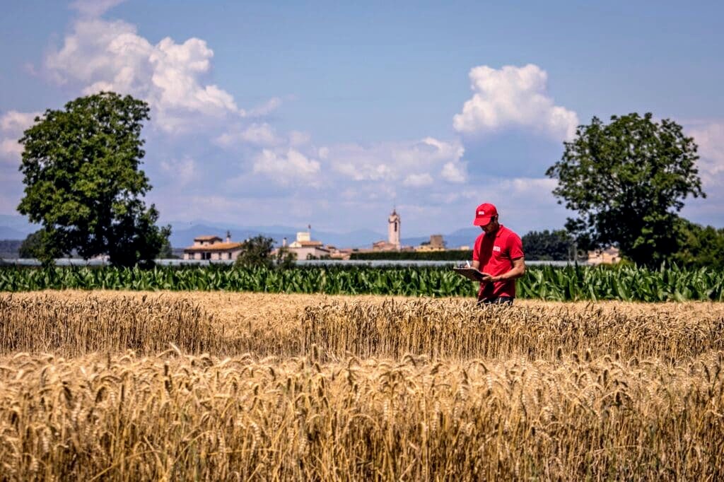 Lo Tractor Rosa tweet media