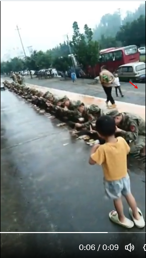 SnailTree tweet media