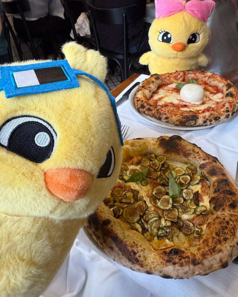 Out Of Context Animals (@animalscontexts) on Twitter photo 