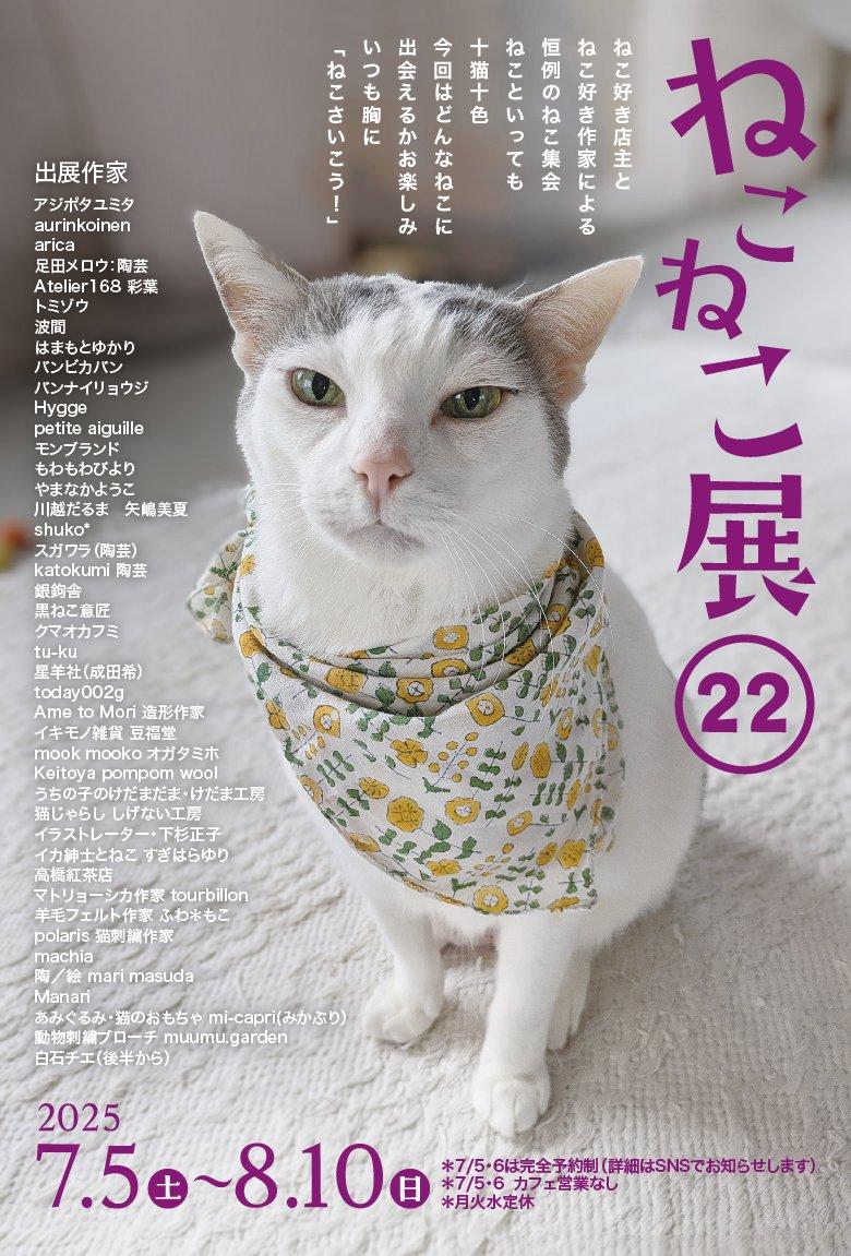 おしらせ📢 q.e.d. STORE & CAFE さんに納品しました🙆 画像の子たちと