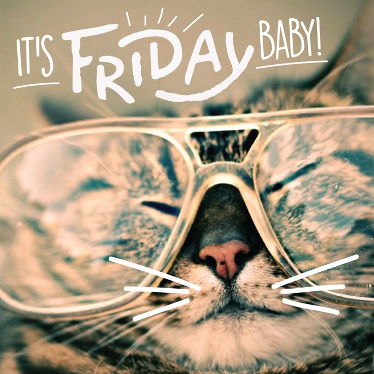 Keff Moran tweet media