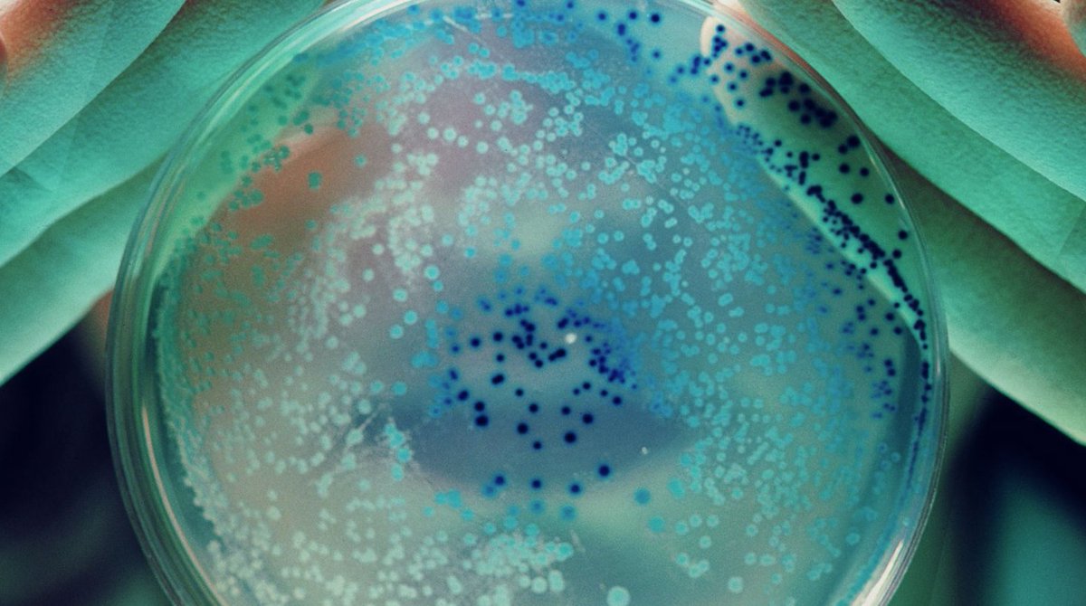 Researchers have developed a computer-guided method for designing and #engineering #bacteria that can detect the presence of specific #molecules in the #environment. This method will advance the use of bacteria to detect these molecules in industry, environmental samples or