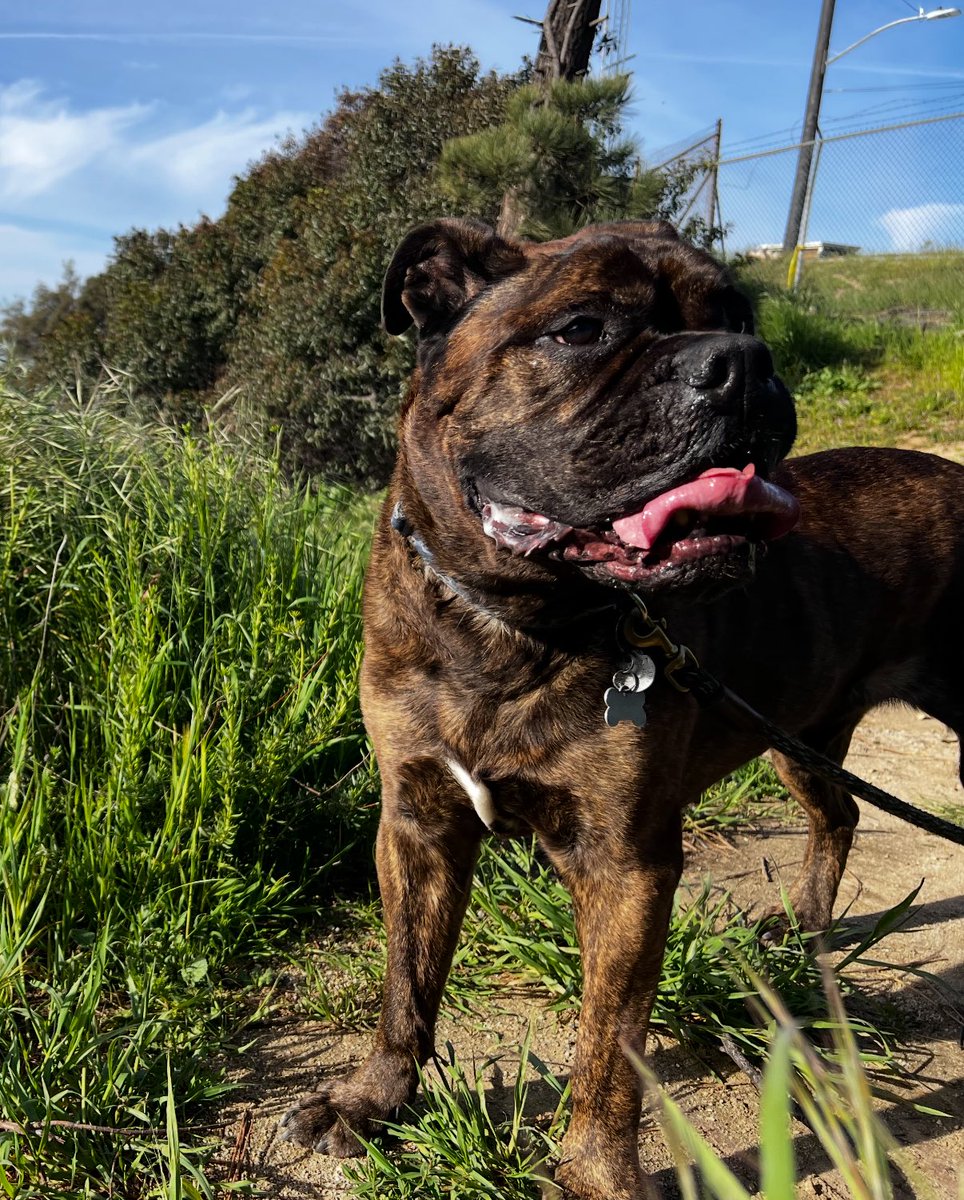 Anthony 😎🛹 tweet media