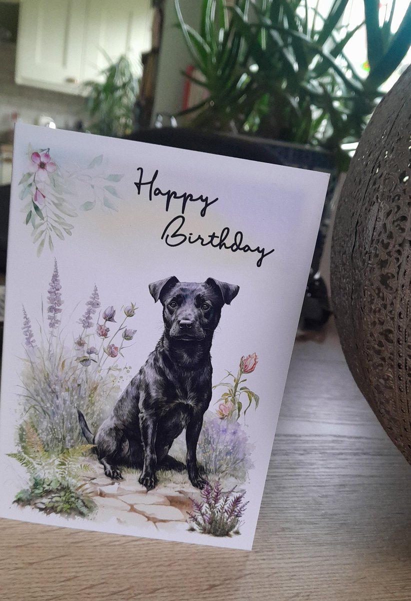 Dianne 👱‍♀️🐶🐾🍫🍷 tweet media