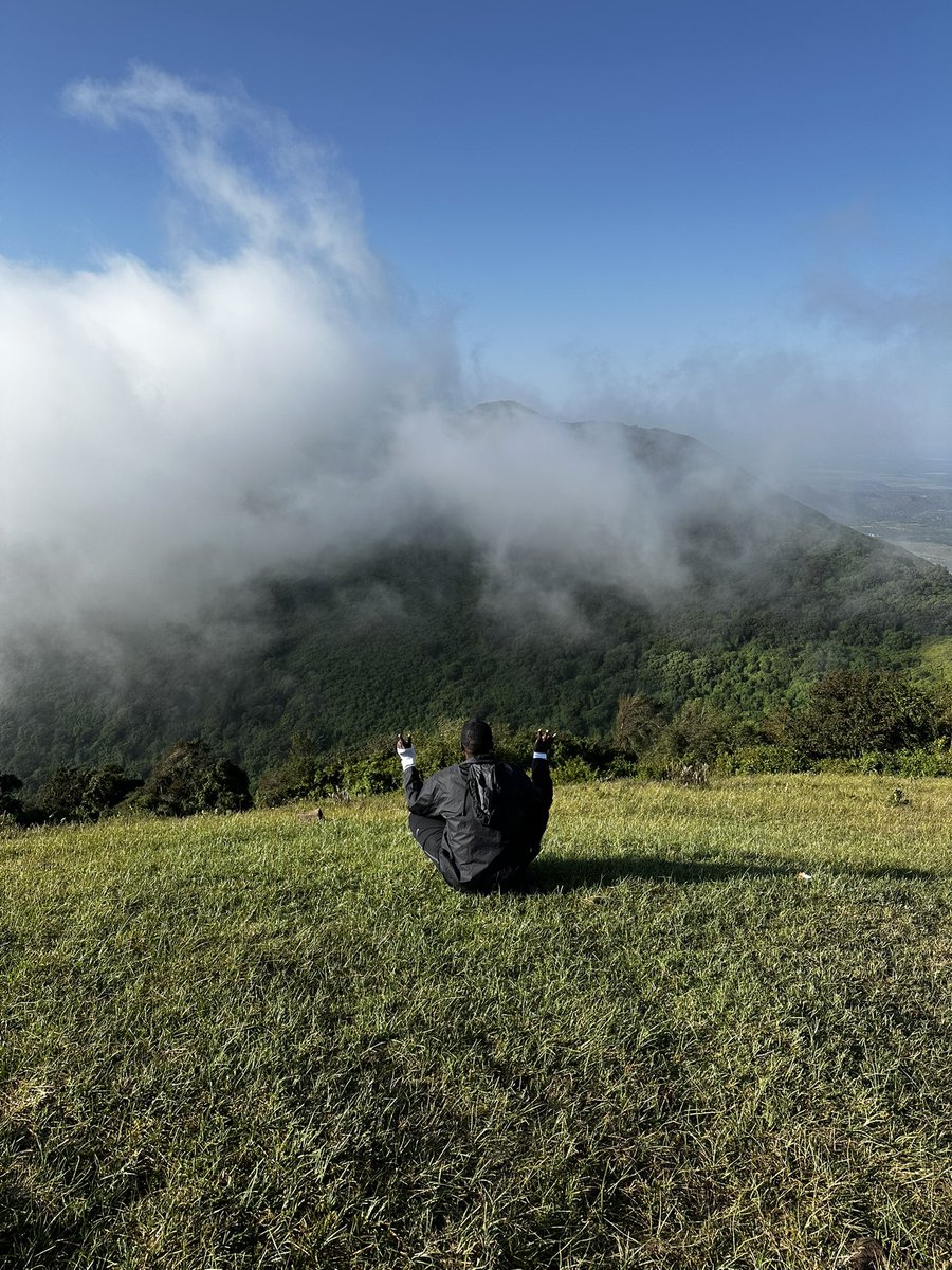 King Darius• - NOVA Tribe tweet media