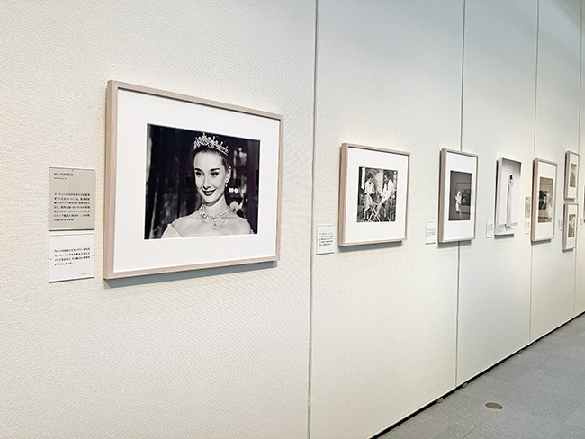 Audrey Hepburn Photoexhibition (@audrey_photoex) / X