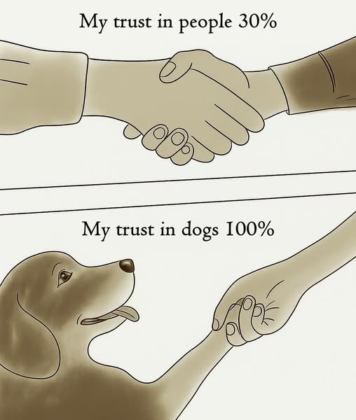 Trust 🐾💞