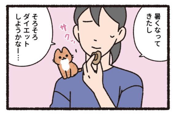 life_win's tweet image. 🍍🐾ーーーーーーーーーーーー
#ねこもんすたー(@pandania0 )
最新44話すたーと‼️
ーーーーーーーーーーーー🍍🐾
【ほむんくるす】
とっても賢くて飼い主想いのねこもんすたー‼️
mangalifewin.takeshobo.co.jp/rensai/nekomon…
✨😈「ねこもんすたー」1-3巻発売中😈✨
amazon.co.jp/dp/4801979599/
#ねこようかい