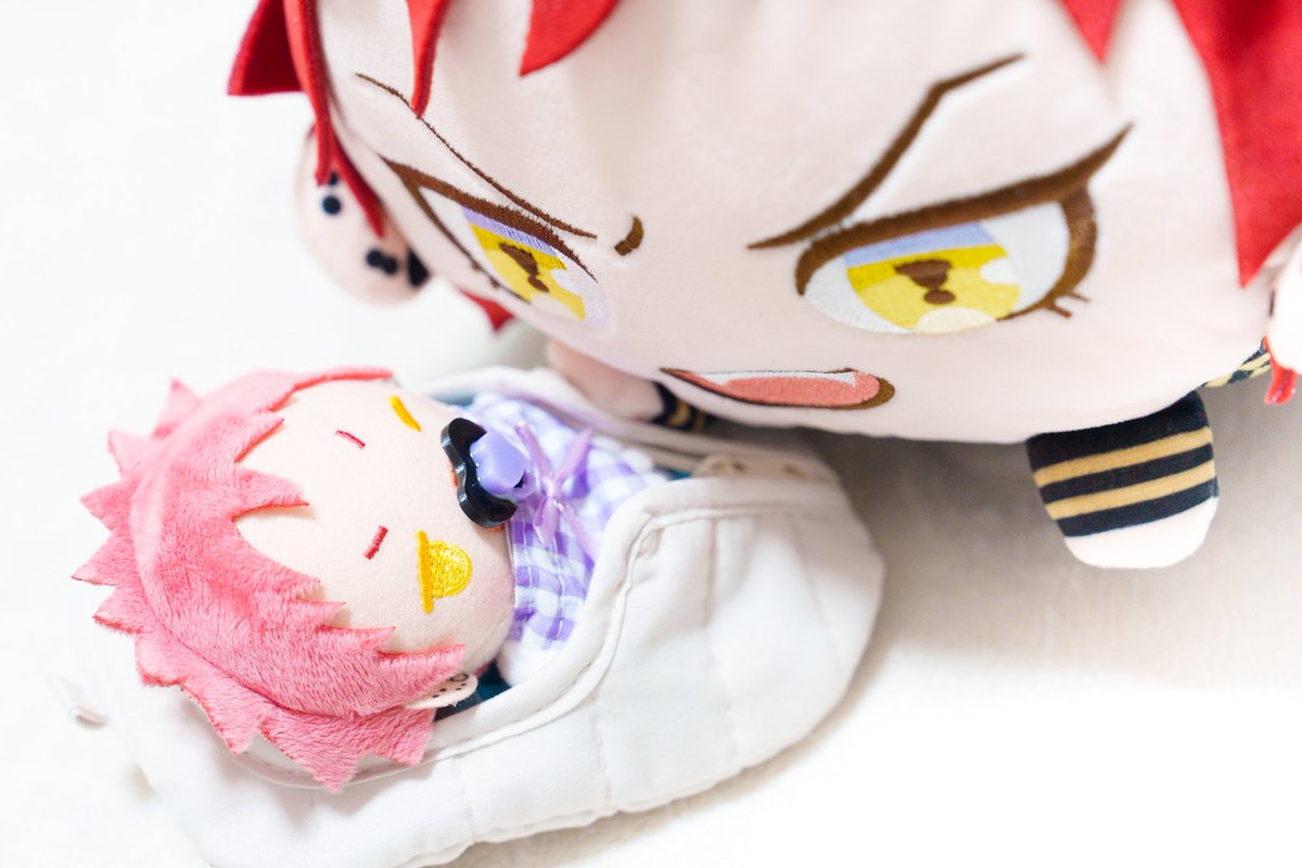 SeNNNui's tweet image. デカくこぬ 世話してくれる