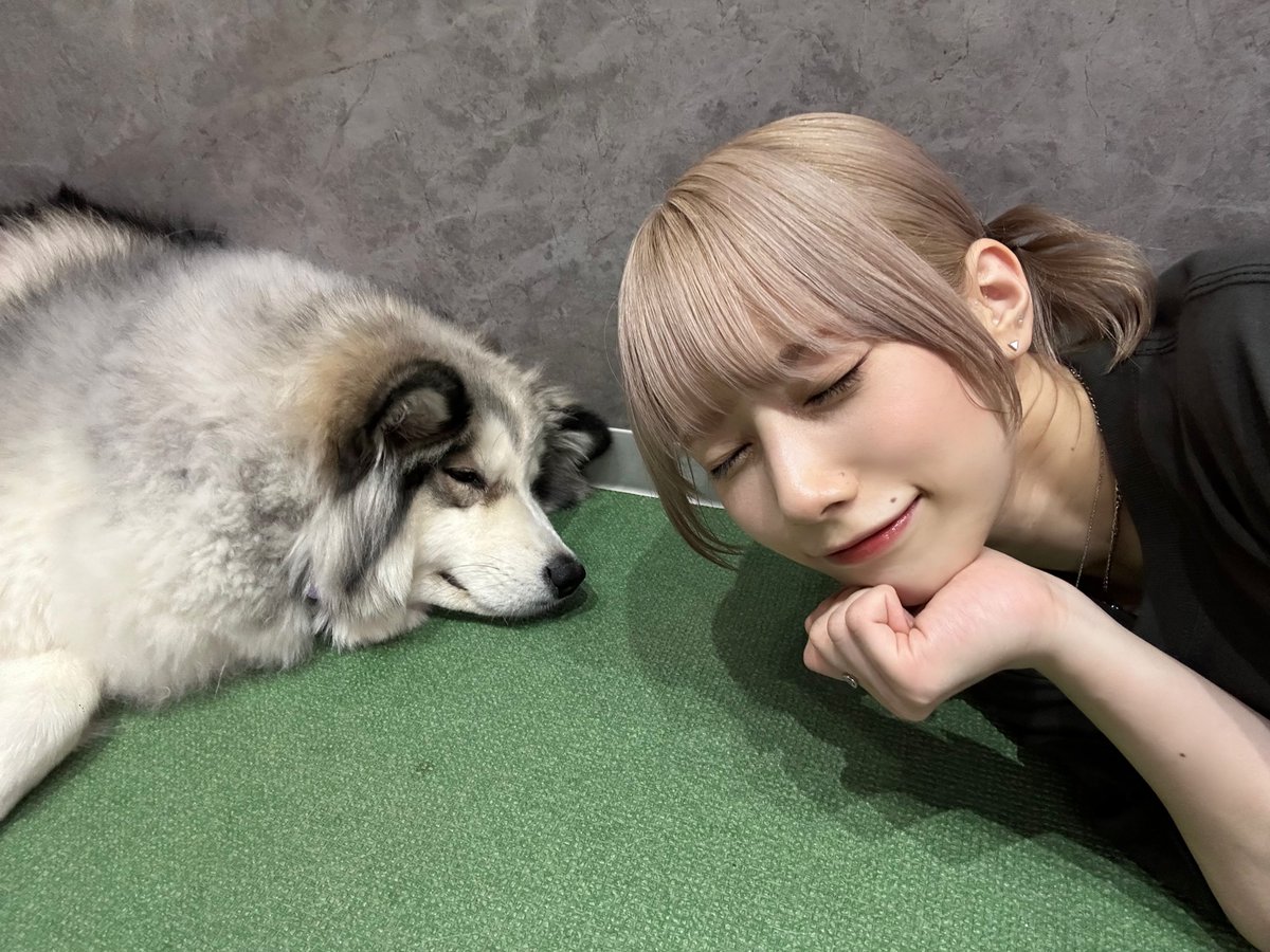 お昼寝したくなる時間だね🐶💭