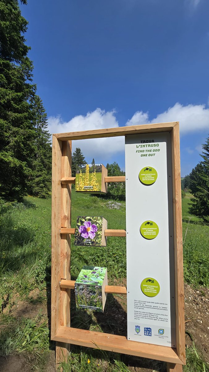 AlpeCimbra's tweet photo. 📅 Sabato 5 luglio, ore 11
🎉 Inaugurazione del nuovo percorso “Natura in gioco” al Giardino Botanico di Passo Coe!
🐝 Apertura mostra “Città a misura d’ape”
🌸 Intitolazione del Giardino ad Alfredo Gelmi
📍 #AlpeCimbra #Trentino #EstateInMontagna https://t.co/rV4uOuMZOR
