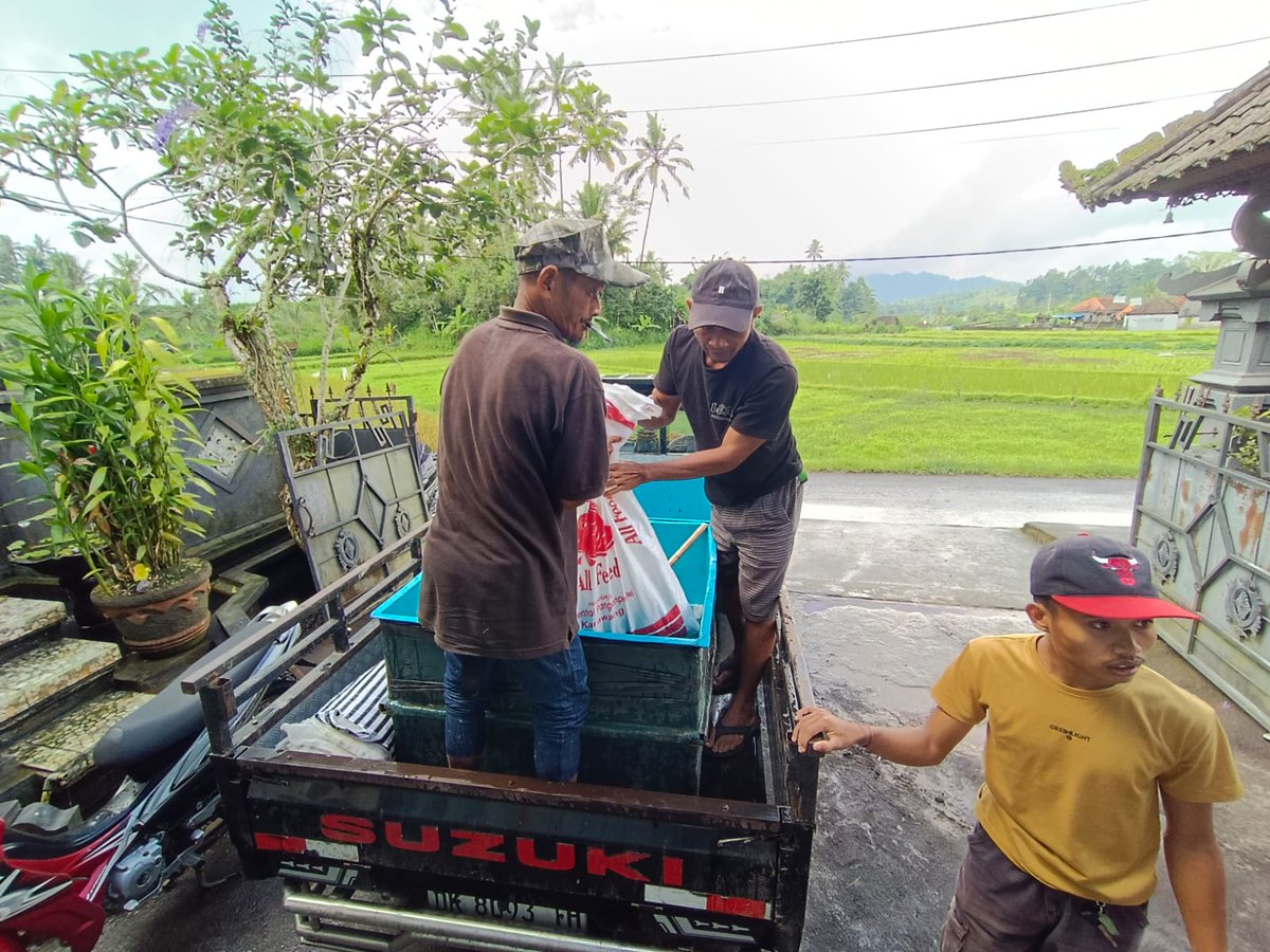 MaenTwit's tweet photo. Kamis(26/6/25),Erwin,Luhkan Kab.Karangasem.Pendampingan pemasaran ikan Nila di pokdakan Mekar Sari#LuhkanSatminkalGONDOL #Karangasem
@bpbatmandiangin
@KarangasemKab
@kkpgoid
@BudidayaKKP
@bppsdm_kp
@bppsdm_gondol https://t.co/0NDBHS2inV